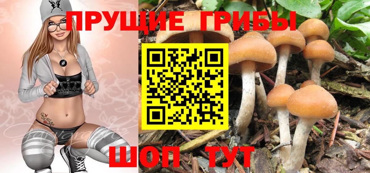 Псилоцибиновые грибы ЛСД  что такое наркотик  Лыткарино  Вход с VPN 